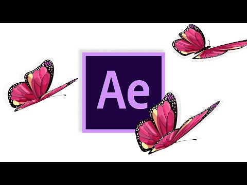 How to Animate Butterfly in After Effects