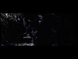 Anaconda kills a panther