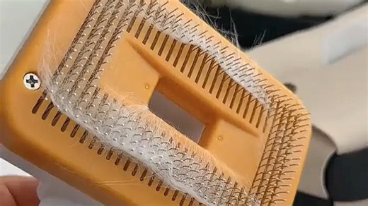 【家居清洁神器推荐】鲸蜡WHALExin布艺沙发布艺沙发专用清洗机｜一体式地拖清洗 除螨 深层洁净｜N3-Pro旗舰款（含2瓶消泡清洁液 配件礼盒）