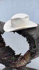 570K views · 256 reactions | Hago sombreros a mano, pero no cualquier sombrero; busco la originalidad en cada uno. Visita nuestro Taller y personaliza tu sombrero. ✅ Garantia de 7 días  Mándame mensaje para personalizar tu sombrero.  Llámanos y resuelve tus dudas: +52 722 9484 093  Sombreros hechos a mano en Toluca, Edomex | Goose Western Co. | Facebook