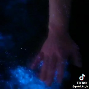 Laguna de chacahua es el mejor Lugar de la costa de Oaxaca donde podrás observar la bioluminiscencia.. selo recomiendo 👌 | Tours Chacahua