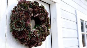 DIY Hardy Succulent Wreath! 🌿💚 Supplies - https://goo.gl/oBTwm4 | Garden Answer