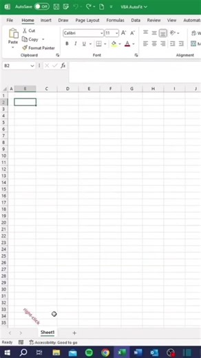 VBA AUTOFIT #excel #exceltips #exceltips