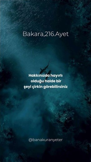 Bakara Suresi, 216. Ayet Beğenip abone olmayı unutmayın. #kuran #ayet #islam #islamicvideo