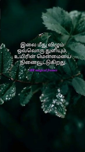 Vaanam mella song lyrics | neethaane en ponvasantham | Ilayaraja | #இலைகளின்_இசை |#இலைமீது_துளி