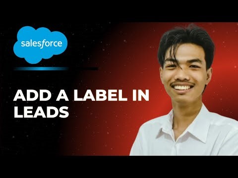 How to Add Labels in Leads in Salesforce