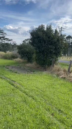 DEMO HOUSE! ☠️ Our Halloween Special - Sadly She’s a Knock Down but What a Great 1/2acre Block and a Pretty Decent Shed Too! 👻👻👻 Price: Guide $275,000 Contact Denise Haynes R&R Property Group 0414 725 482 | R and R Property Real Estate Agency