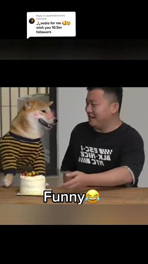 Reply to @abdalledaimond #gainwiththeforeigner007 #funnyvideoes🤣😂 #funnyviralvideo #viralvideo #edit #fypシ @theforeigner007