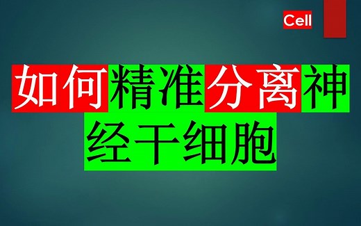 Cell—如何精准分离和纯化人类神经干细胞和祖细胞？
