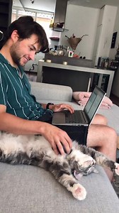 3.8K views · 60 reactions | Our new mouse pad meows sometimes  (source: @thesiberiandibster) | LightInTheBox | Facebook