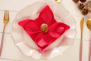 62K views · 1.8K reactions | COME PIEGARE IL TOVAGLIOLO A STELLA DI NATALE  ❤️ TUTORIAL COMPLETO▶︎ https://www.fattoincasadabenedetta.it/come-piegare-il-tovagliolo-a-stella-di-natale | Life & Chiara | Facebook