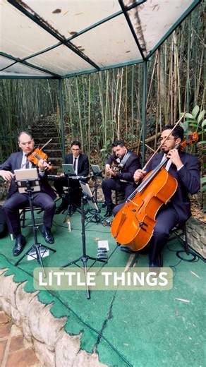 Little Things | One Direction | Instrumental Por Uníssono Músicos Para Casamentos