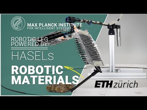 人工筋肉でロボットの脚を動かして歩いたりジャンプしたりする技術を開発 ETHチューリッヒ&マックス・プランク研究所