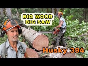 I’m Calling In The Reinforcements