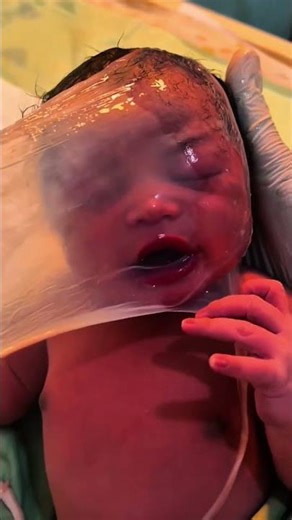 Cute & Adorable Babies Moments | Cuddle Care Babies #baby #cutebaby #shortvideo #cute #newbornbaby