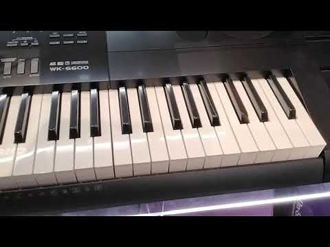 casio wk 6600