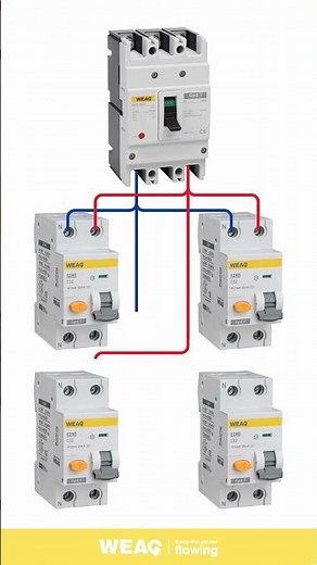 Perfect Protection Setup | MCCB + 4 RCBOs Connection.