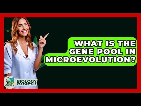 What Is The Gene Pool In Microevolution? - Biology For Everyone