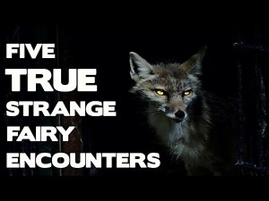 Five TRUE Strange Encounters With REAL Fairies (True Fairy Encounters Series)