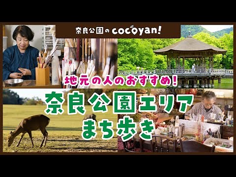 【奈良公園 観光】 cocoyan! 地元の人とつくる観光お出かけマップ！ 奈良公園篇