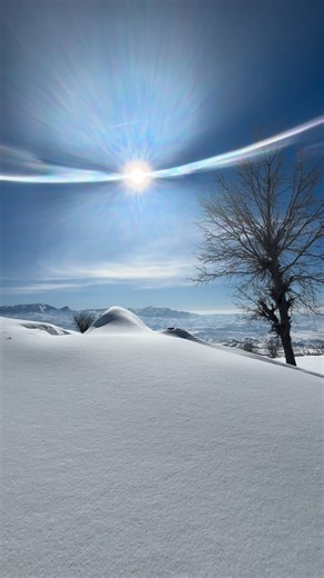 xerib on Instagram: "💐💐❤️"