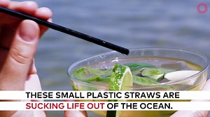 After you see where they end up, you'll never want to use a plastic straw again. | Global Citizen