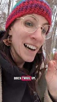 Identifying Birch: the Scratch and Sniff test #foraging