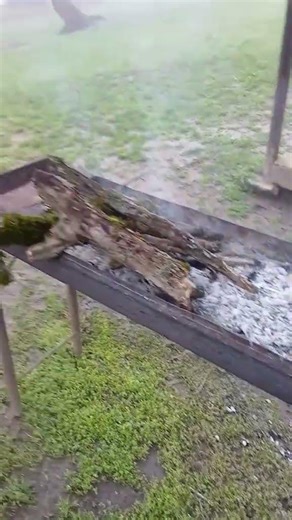 🍡✅ #food #driftingguru #driftingguru #cooking #professionaldrifter #foodshorts #delicious