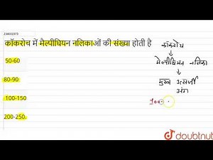 कॉकरोच में मैल्पीघियन नलिकाओं की संख्या होती है | 11 | तिलचट्टा की आकारिकी एवं शारीरिकी | BIOL...