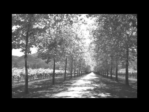 Grateful Dead-Sing Me Back Home (7-18-1972)