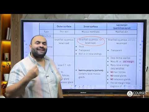 lecture 1 part 2 histology GIT oral cavity