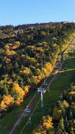 6.1K views · 293 reactions | Scenic Lift Rides are available...