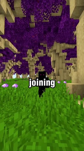 Random Minecraft server #minecraft #foryou #trending