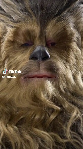 Videos de Kaniwa (@kaniwa7) con “sonido original - Kaniwa”