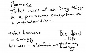 Energy Flow Through Ecosystems | Educreations