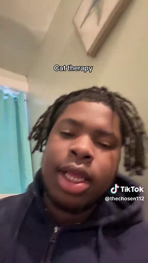 Cat Therapy: Soothing Sounds and Adorable Moments