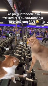 1.4M views · 18K reactions | Athletic Gym on Reels | Facebook