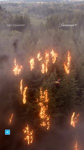 536K views · 34 reactions | Stream a new season of Fire Country on Paramount+ 六‍ | Paramount+ | Facebook