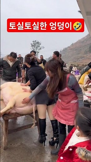 한 대 때리고 싶어지는 꽉찬 엉덩이~~~😂 #쇼츠 #funny #눈요기