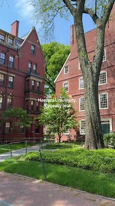 Harvard University Visit: Standing Outside the Campus