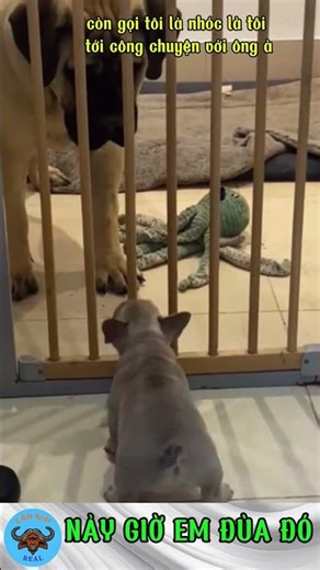 NẢY GIỜ EM ĐÙA ĐÓ