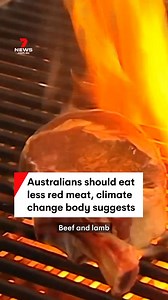 8.1K views · 112 reactions | Eating less red meat like beef and lamb has been suggested by Australia's Climate Change Authority as a way to reduce greenhouse gas emissions. #meat #redmeat #beef #lamb #pork #diet #climate #climatechange #anthonyalbanese #auspol #7NEWS | 7NEWS Sydney | Facebook