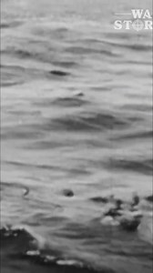 The Japanese carrier Shokaku was torpedoed and sunk after a magazine explosion. Damage caused a similar explosion on Taiho, which also sank. The loss of two fleet carriers was a major blow, ending their ability to compete with the Americans. Have you ever felt such a crushing defeat? #Shokaku #Taiho #PacificWar #NavalHistory #MilitaryHistory #WorldWarII | War Stories