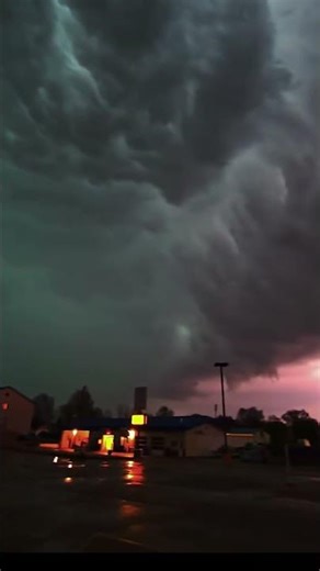 This Can't be a Good Sign - 100% REAL FOOTAGE