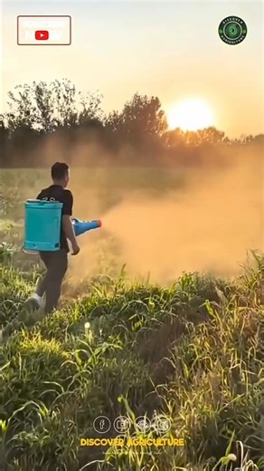 Amazing Blower Sprayer Machine