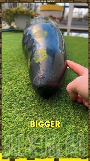 This snake toy can get big