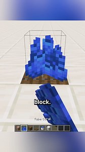 colored coral #minecraftbuilds #minecraft #minecraftpe #minecraftmemes #minecraftmods | Game Of Minecraft