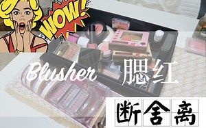 【Hello 33】34 款腮红 断舍离合集 我发誓这是近期最后一个断舍离了！！！