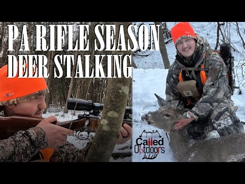 Stalking Deer with a Rifle | PA Rifle Season Doe Down!