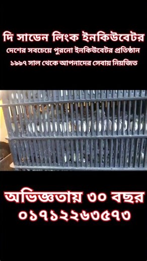 The sudden Link Incubator Co. #পোল্ট্রিখামার #poultryfarming #ডিমফোটানো